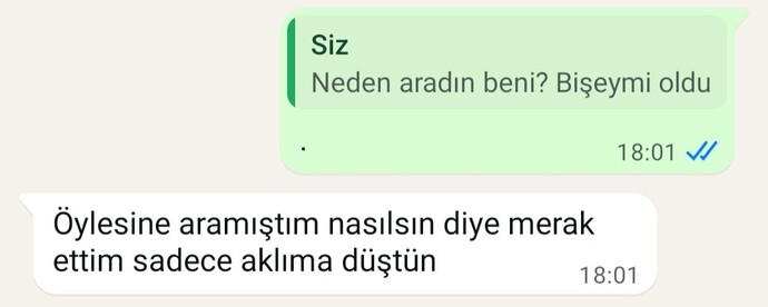 Tam başka birini sevicekken exin yazması napmalıyım?