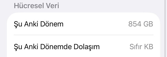 Bir haftada 20gb harcıyorum, mobilde sınırsız ama uygun hangi tarife var?
