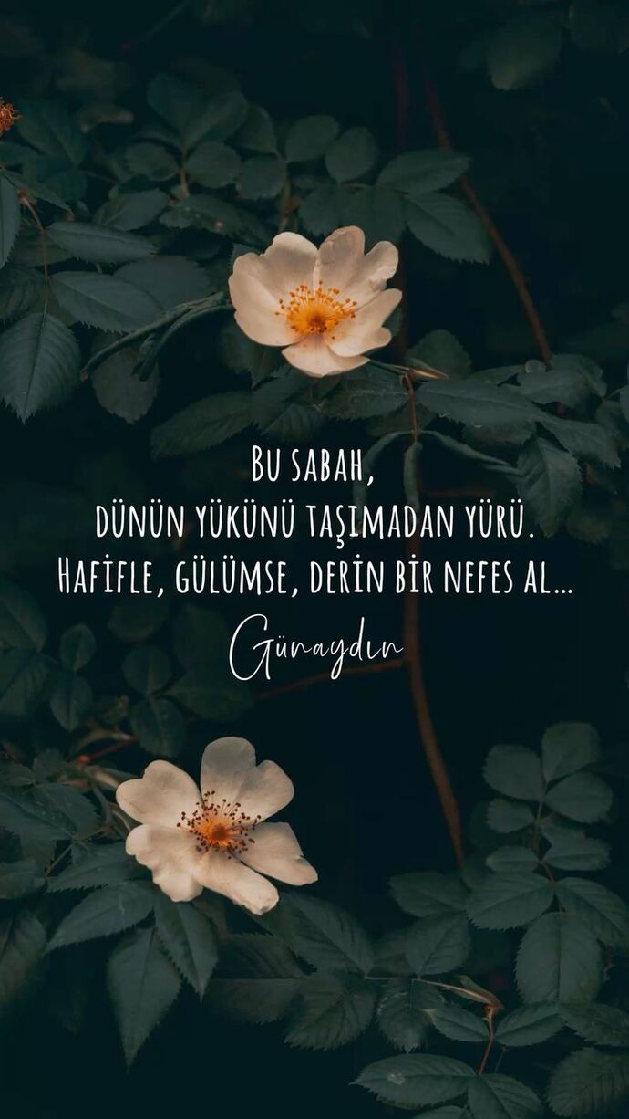 Günaydınlarr 🫶 Yeni doğan bu sabah ışığında, ruhunuzda da yeni bir tazelik var mı?