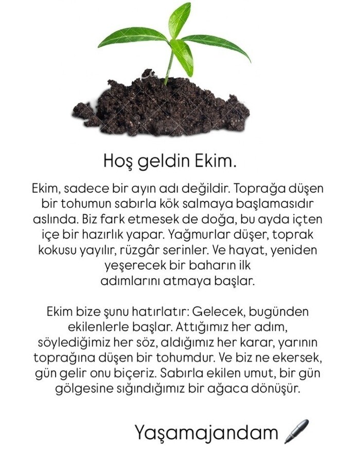 Sizce yaşam ne zaman anlam kazanır?