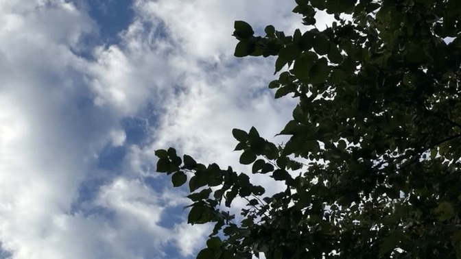 Günaydın ksliler naber nasılsınızzzz?