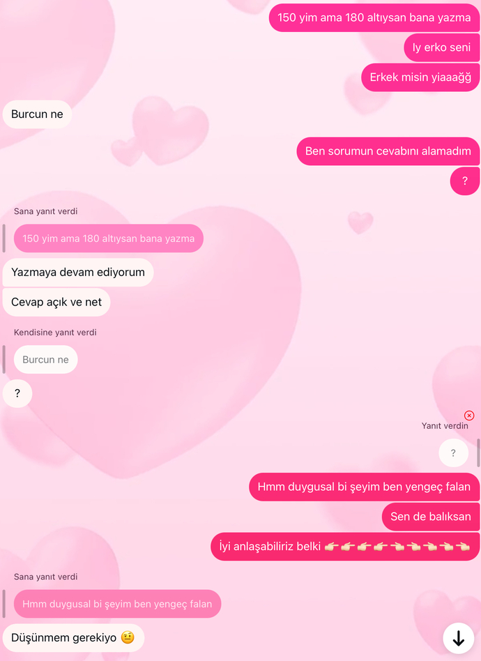 bi daha yazmadı bi de canım nedir