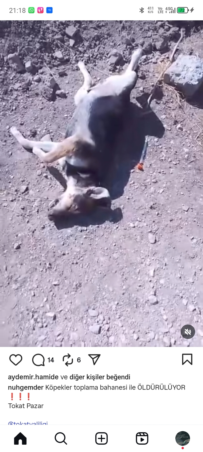 Erkekler dünyaya gelen en zehirli canlı türü değil mi?