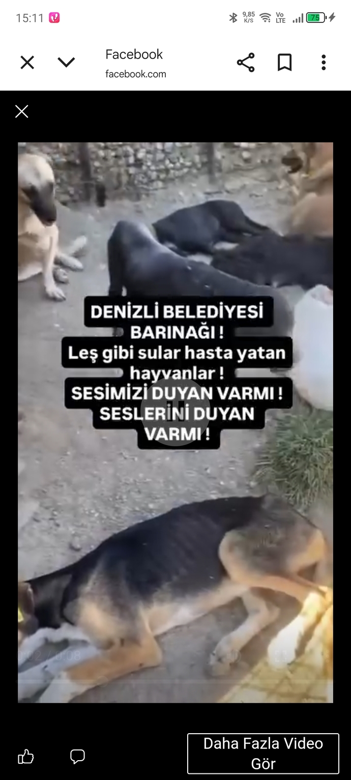 Erkekler dünyaya gelen en zehirli canlı türü değil mi?