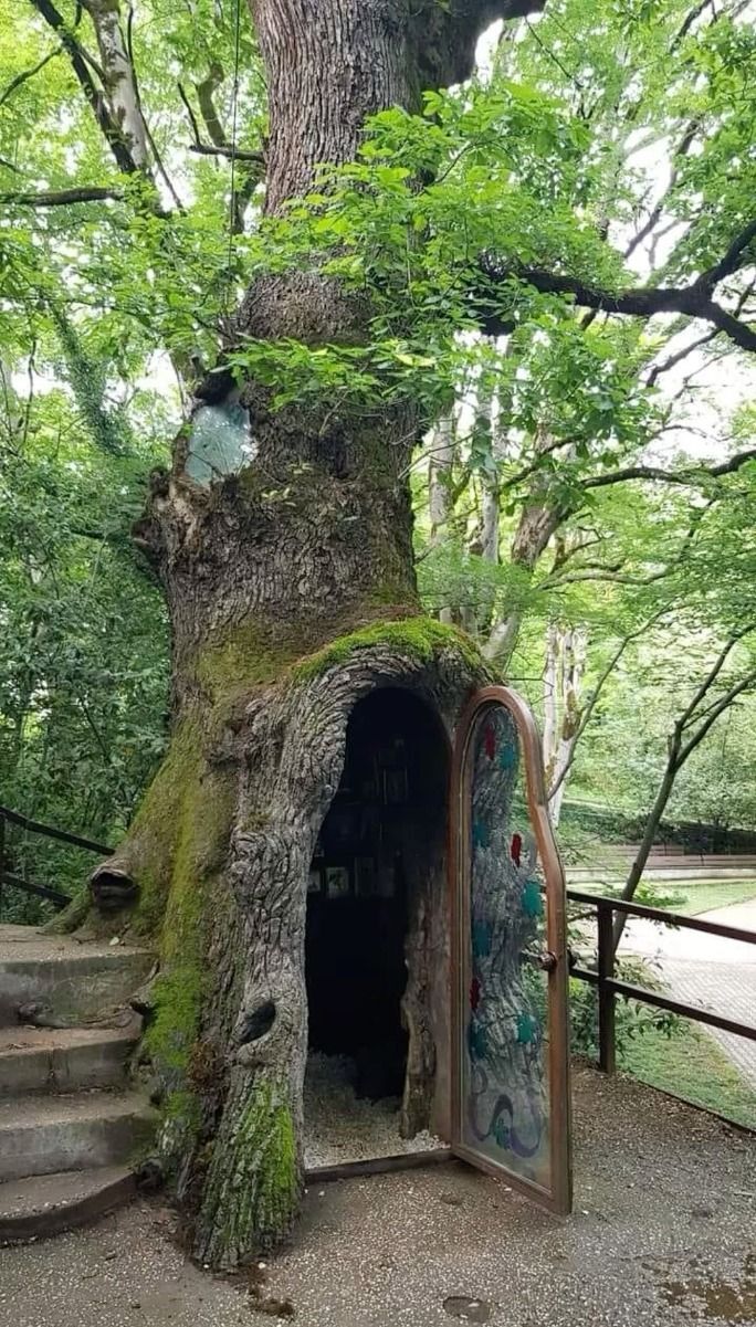 ruhumun kapısı