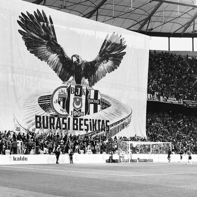 Dünya renksizleşiyor mu?