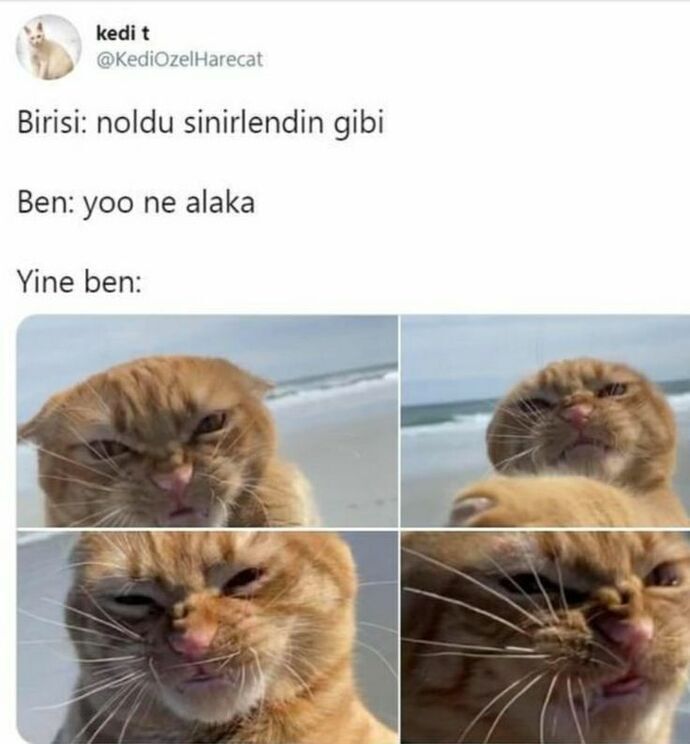 Yaşantında sinirli misin, sakin mi?