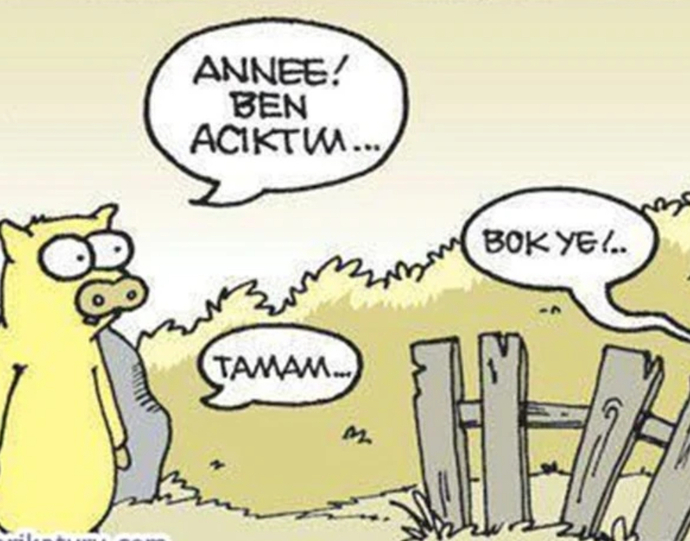 Insanoglu herşeyi yermi?