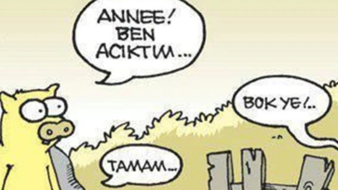 Insanoglu herşeyi yermi?
