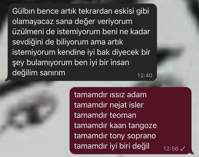 Tamamdır ıssız adam demek istediğiniz biri var mı?