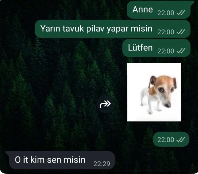 Anneniz veya babanızla geçen mistik WhatsApp konuşmalarınız var mı?
