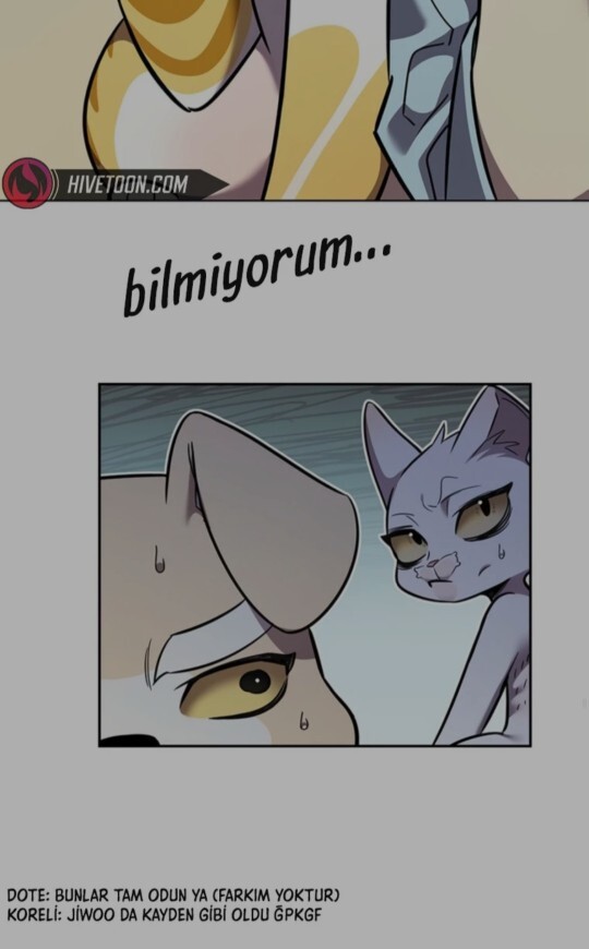 Birinin , sizi sevdiğini ya da hoşlandığını hemen anlar mısınız?
