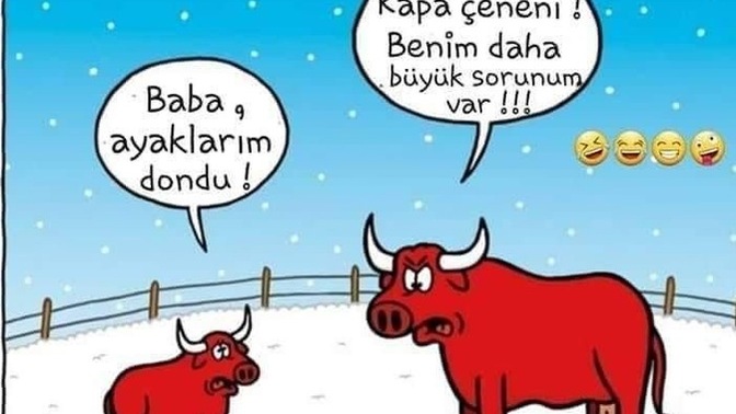 Hangi mevsim insanısınız?