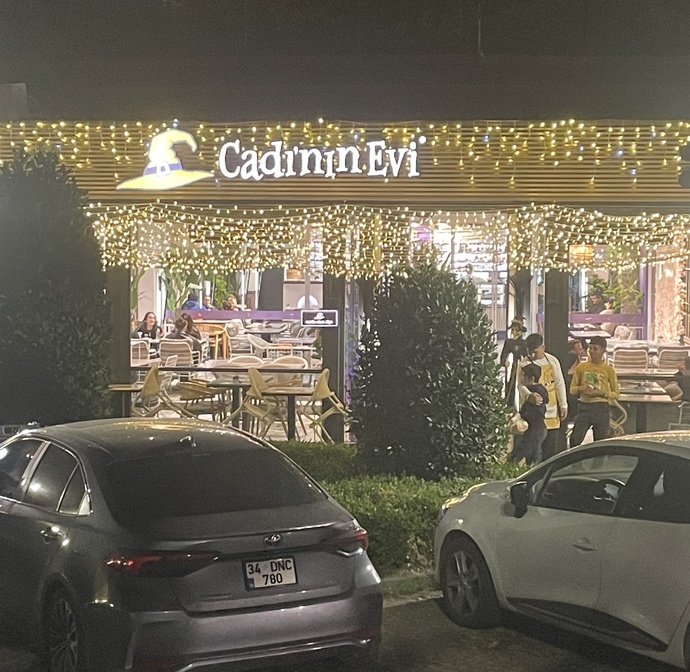 Görseldeki ev siteden kimin evi sence?