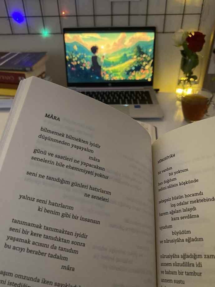 düşünmeden nası yaşanır, bilmeceler nası aşılır