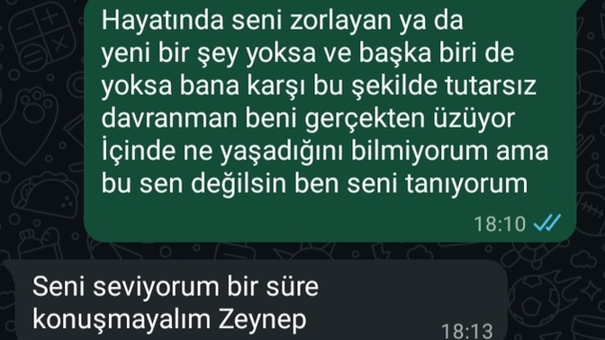 Seni seviyorum bir süre konuşmayalım diyen sevgili?