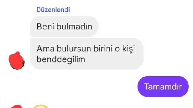 İstemediğini söyleyince ben konuyu kapattım, ama asıl uzun uzun yazan kendisi oldu. Neden sizce?
