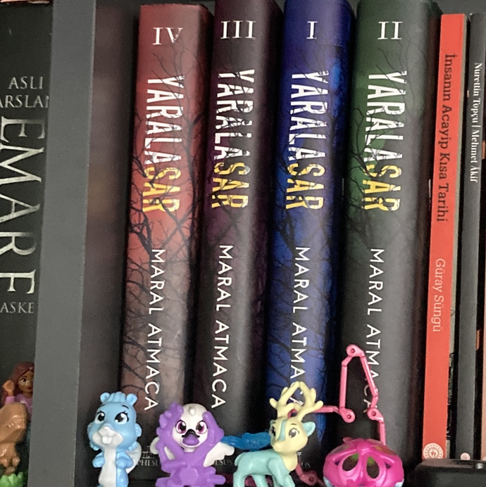 İlk kez kitap okuyacağım normalde hiç sevmem, kalp muhafızı olur mu? Ya da önereceğiniz ilk kitap var mı? Açıklamayı okur musunuz?