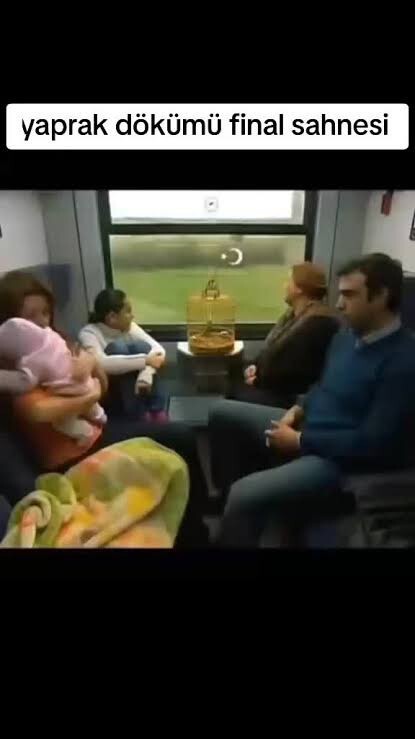 Yaprak Dökümü final sahnesini nasıl buldunuz?