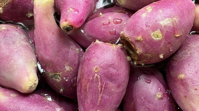 Hiç kaktüs 🌵 meyvesi yedin mi? Nasıl buldun?