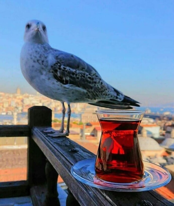 Akşam çayını nasıl içiyor sunuz?