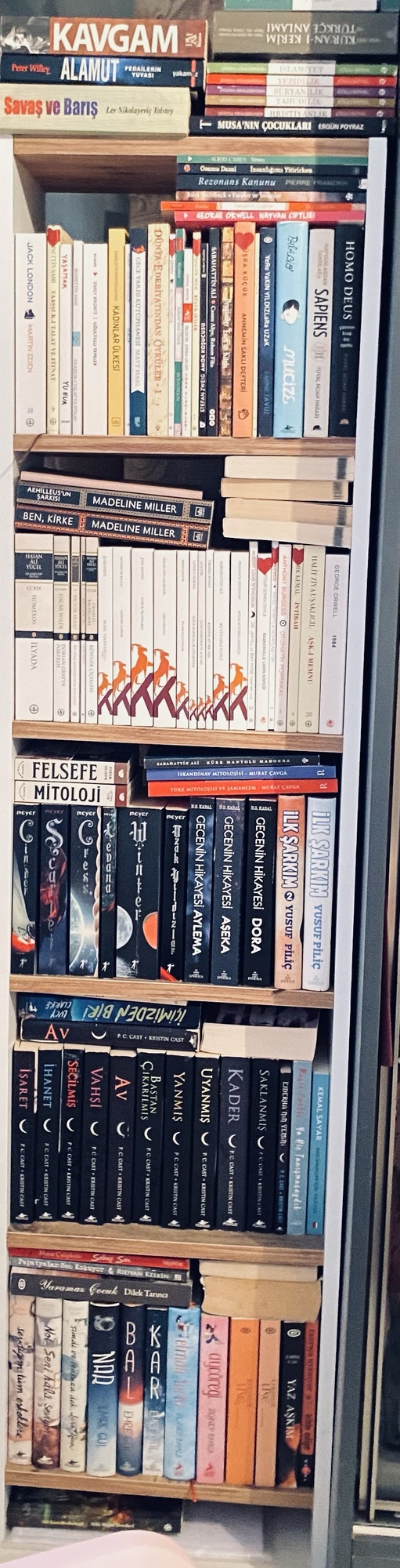 Kitap okuyan birinin evinde kitaplık olması şart mıdır?