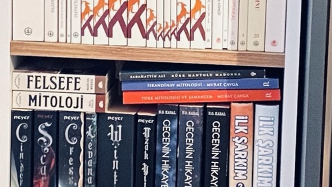 Kitap okuyan birinin evinde kitaplık olması şart mıdır?