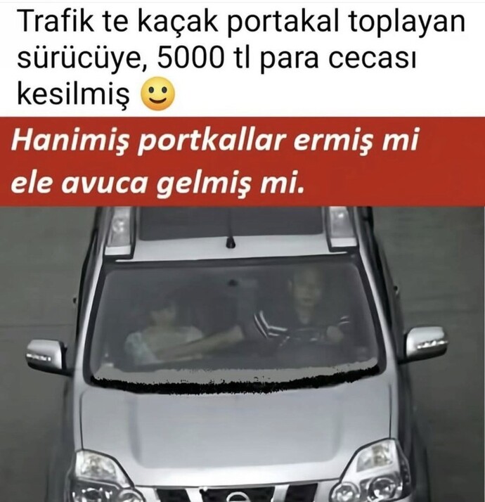 Trafikten hiç ceza yediniz mi yediyseniz neden yediniz?