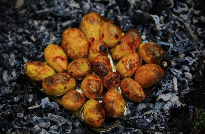 Közde patates sever misin?