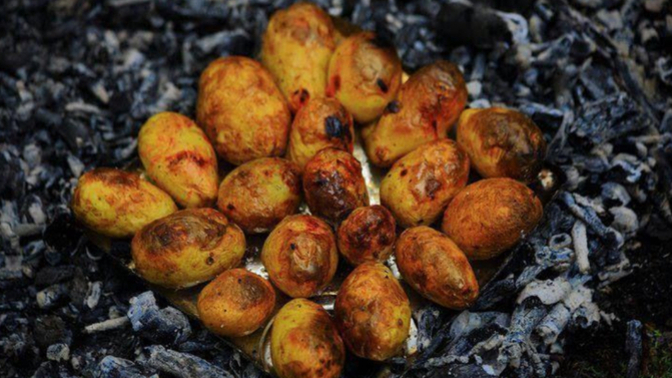 Közde patates sever misin?
