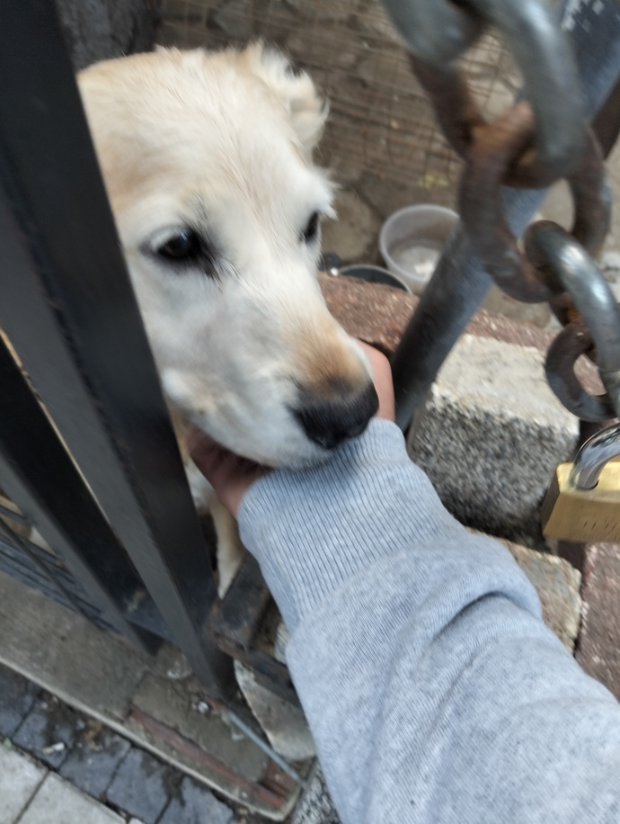 Hiç hiç beklemediğin bir şey seni mutlu etti mi?