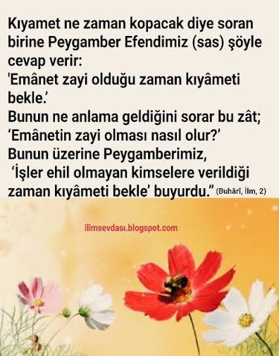 Bir çivi bile çakamayacak tiplerin deli gibi para kazanması?