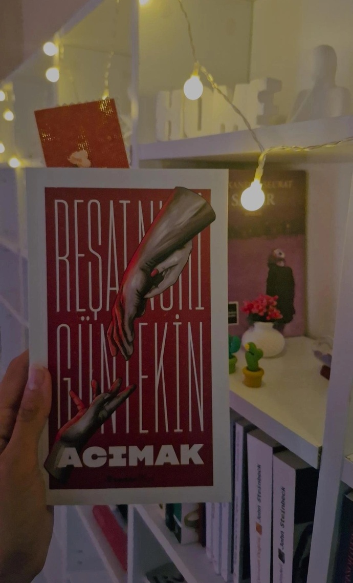 Kürk mantolu Madonna romanını hiç okudunuz mu?
