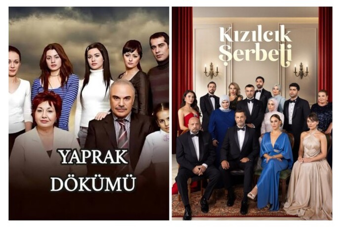 Final yapmış dizileri mi seversin yoksa devam eden dizileri mi?
