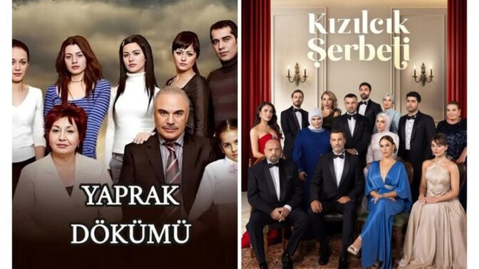 Final yapmış dizileri mi seversin yoksa devam eden dizileri mi?