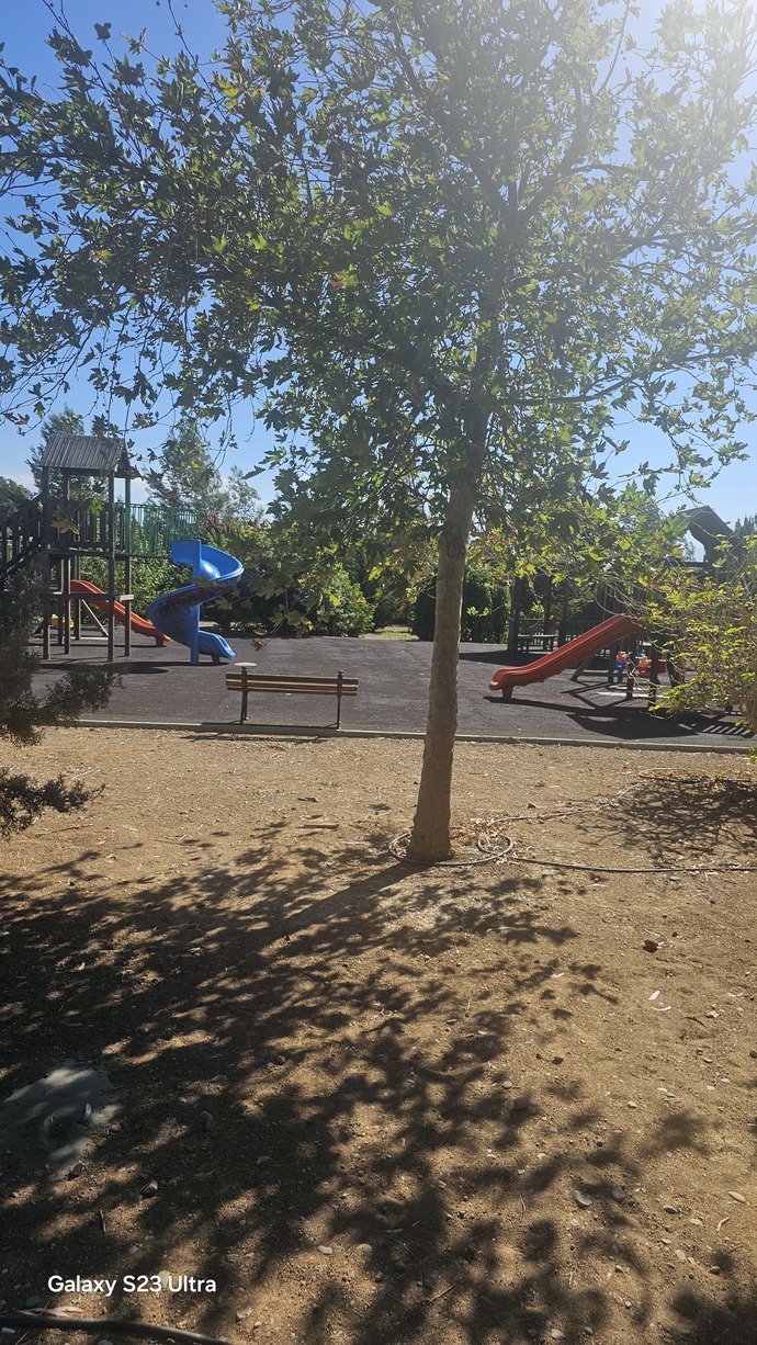 Şu an nerde ne yapıyorsunuz?