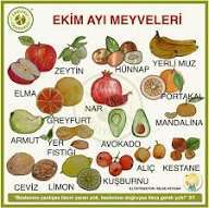 Ekim ayindan hangi meyve favoriniz?