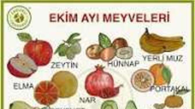 Ekim ayindan hangi meyve favoriniz?