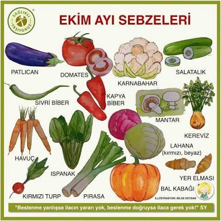 Hangi Ekim sebzesi favoriniz?