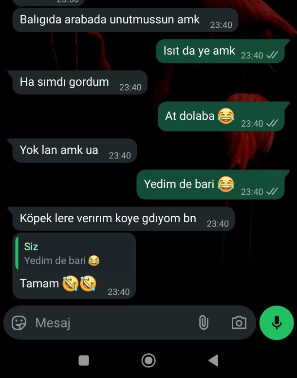 Balık yemeyi seviyor musunuz?