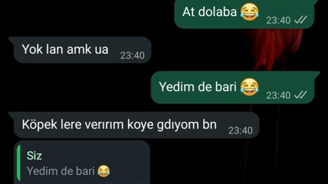 Balık yemeyi seviyor musunuz?