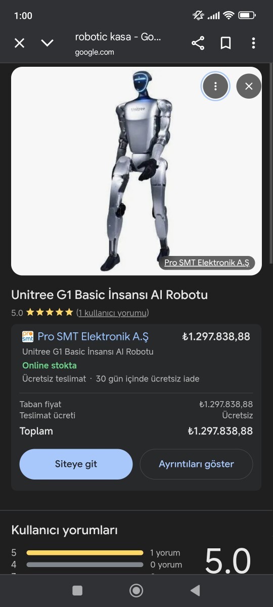 İnsansı robot satın alır mıydınız?