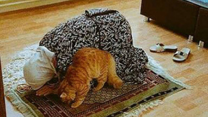 Evde köpek besleyen ölümsüz mü oluyor İslamda?