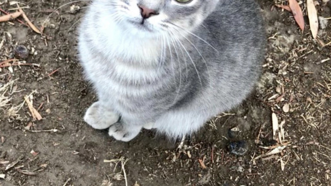 Bebeğim nasıl sizce 😍 Ad önerisi alabilir miyiz?