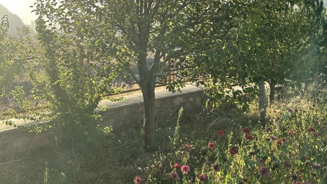 Bi günaydın da benden olsun?