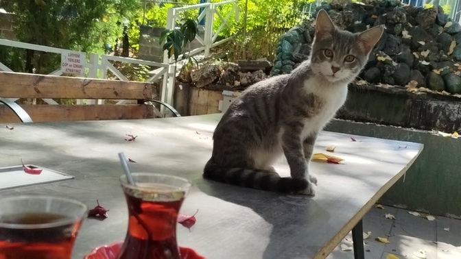 Gününüz doğdu mu ☀️?