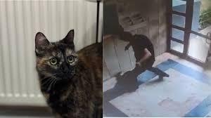 Cezve’nin katilinin cezası belli oldu! Sizce ceza yeterli mi?