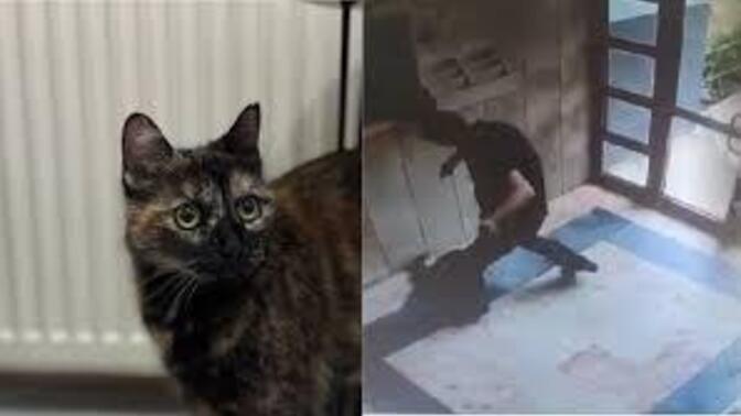 Cezve’nin katilinin cezası belli oldu! Sizce ceza yeterli mi?