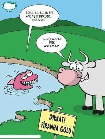 Hangi burcun insanıyla Asla!! olmaz dersiniz?