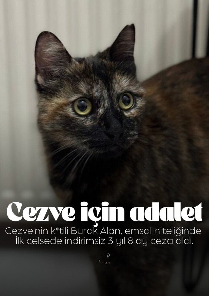 Yorgunuz ama birşeyler için hâlâ umudumuz var değil mi?